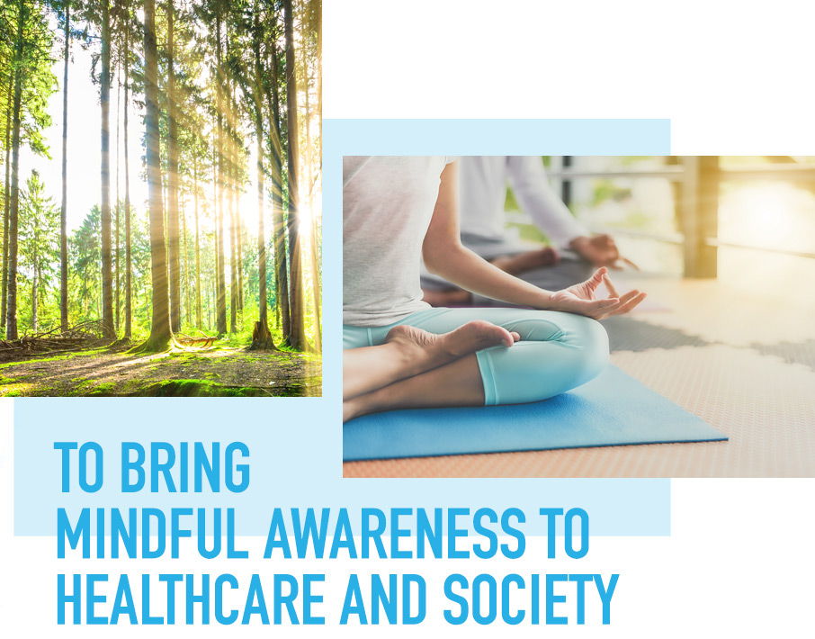 To bring mindful awareness to healthcare and society